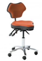 Ergonomic Chair
