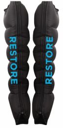 Restore Recovery System